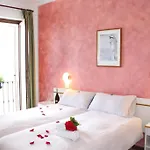 Stella D'oro - &