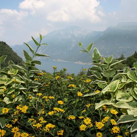 Stella D'oro - & Hotel Tremosine