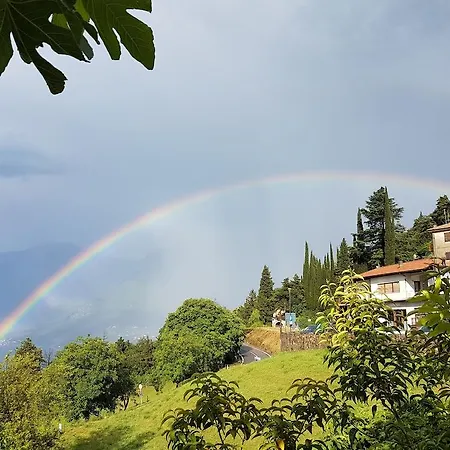 Stella D'oro - & Hotel