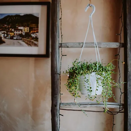 Stella D'oro - & 3* Tremosine